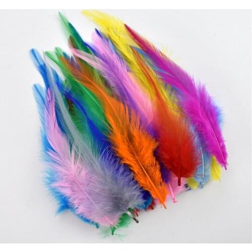 50Pcs Colored Pheasant Feathers Diy Jewelry Decoration Feather for Needlework Natural Handicrafts Accessories White Decor Plumes