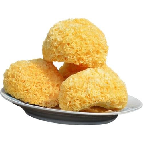 NATURAL 100% TREMELLA FUCIFORMIS WHITE JELLY MUSHROOM WHITE FUNGUS