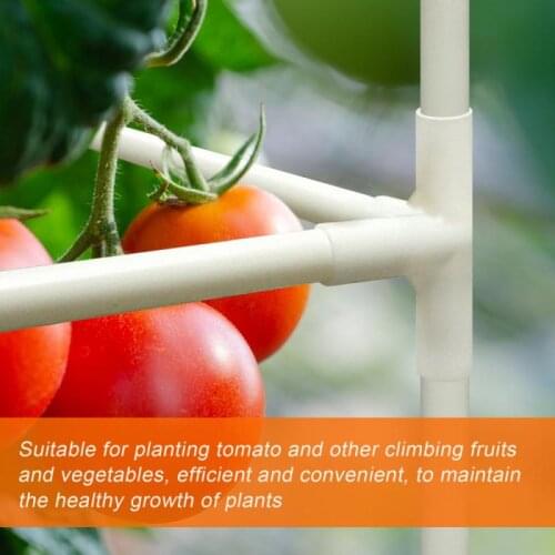 Garden Plant Climbing Vine Combination Bracket Gardening Plant Auxiliary Fixed Bracket Clip Combined Support Vegetables Bracket