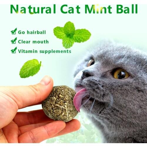 1Pcs Funny Nature Cat Mint Ball Play Toys Ball Catnip Toy for Pet Kitten Cat Toys Cat Plush