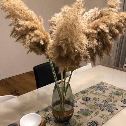 2021 New Year Decoration Pampas Grass Bunch Wedding Pampas Flowers Beautiful for Home Christmas Decor Natural Dried Plants