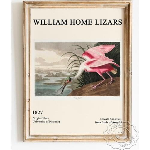 William Home Lizars Exhibition Animal Art Museum Poster, Roseate Spoonbill Canvas Painting, America Birds Picture Home Decor