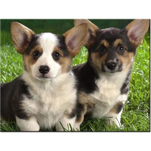 Welsh Corgi puppies diamond painting Full Square drill 5d Diy Diamond Embroidery round animal Cross Stitch Mosaic petsZP-2021