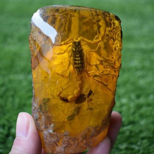 Chinese Collectible Amber Inner Inlay Scorpion Rare Lucky Cone Statue Decor 245G