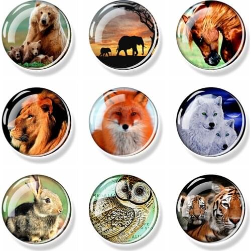 Animal World Refrigerator Magnets Fox Cheetah Owl Chick Dog Zebra Wolf Donkey Sheep Fridge Magnet Decor Glass Magnetic Stickers