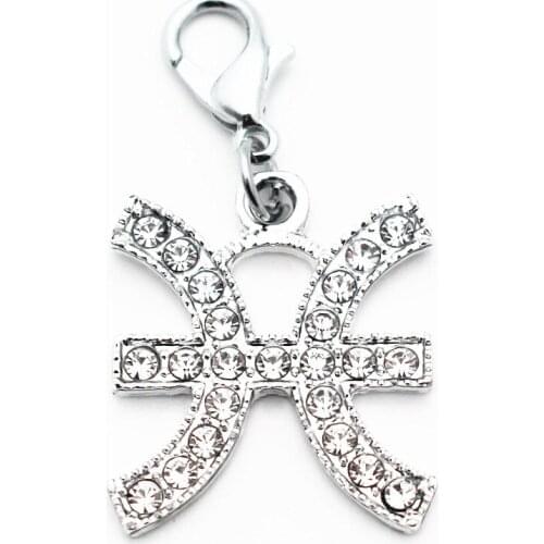 12pcs/lot Pisces Alloy aquarius Crystal Dangle Charms Lobster Clasp Hanging Charm For Necklace Pendant Bangle Jewelry