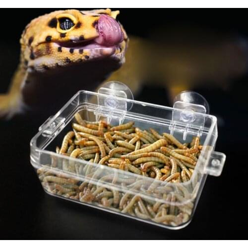 Reptile Food Bowl Anti-escape Turtle Lizard Worm Food Container