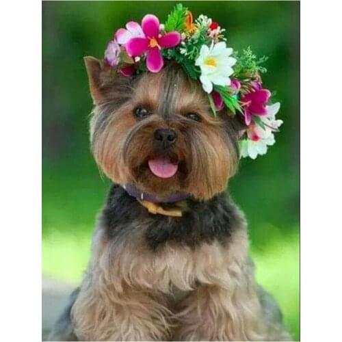 New Rhinestones for Embroidery 5d Diy Diamond Painting Cross Stitch Yorkshire Terrier Dog pet Full Mosaic kits Home Decoration
