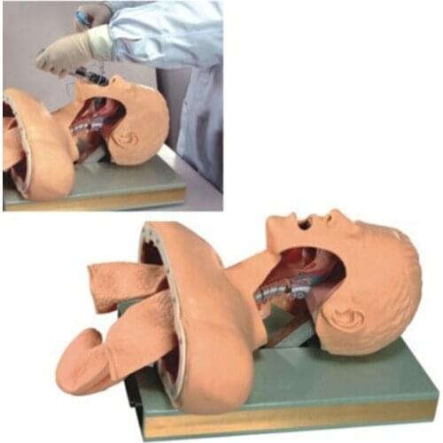 Hot sale BIX-J51 Electronic Airway Lntubation Model(With Alarm Device) WBW079