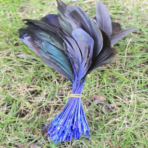 Beautiful 10pcs 5-7 inch/12-18cm Blue rooster feathers Clothing jewelry Headwear Christmas Holiday Decorative Feathers