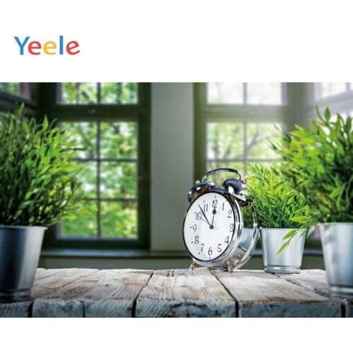 Room Interior Window Green Bonsai Alarm Clock Newborn Baby Portrait Backdrop Vinyl Photography Background For Photo Studio Shoot