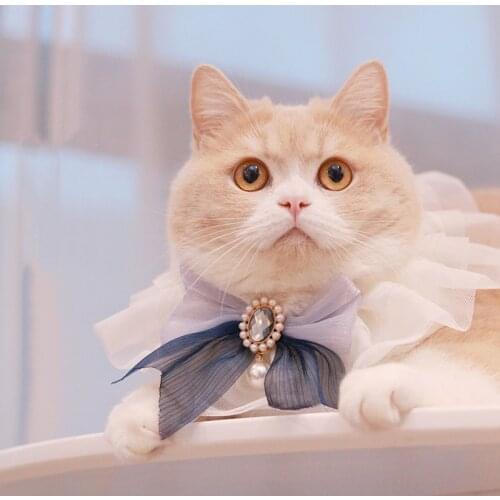 Hippypaw Collars For Cats