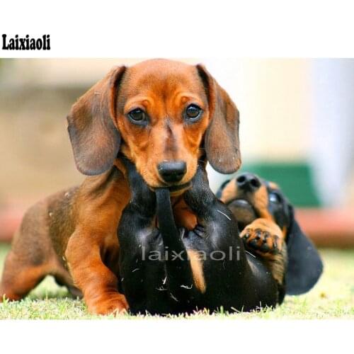 Diamond Painting Dog Animal Full square Round diamond Professor Dachshund Diamond Embroidery 5D Rhinestones Picture By Numbers