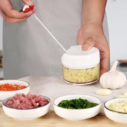 Mini Garlic Press Manual Vegetable Grater Fruit Chopper Grinder Kitchen Accessories 170ML
