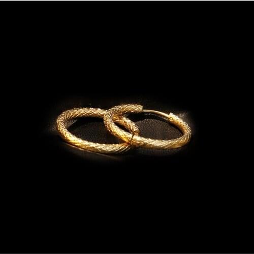 Stainless Steel Gold Snake Hoop Earrings For Women Simple Punk Fashion Gold Ear Gift Party Jewelry