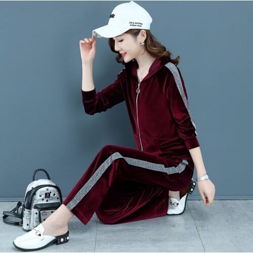 Casual Tracksuit Two Piece Set Women Tops and Pants Outfits 2020 Autumn Women Velvet Solid ensemble femme survetement