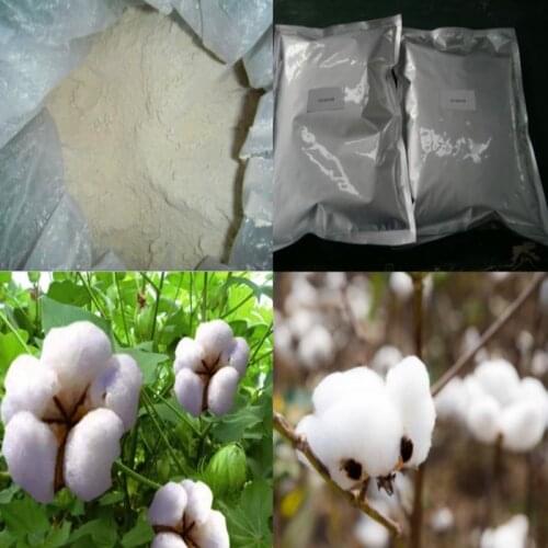 1KG Defoliation Dropp Thidiazuron TDZ Growth Hormone 50% WP High Quality Thidiazuron 50% WP For Contton