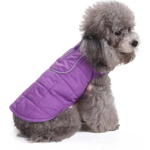 Autumn and Winter pet dog clothes pet jacket cotton clothes