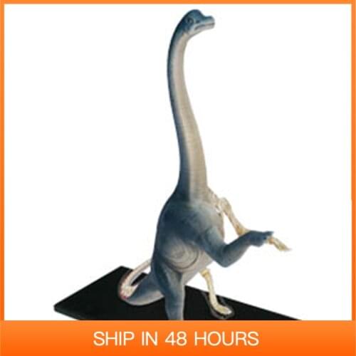 4D Dinosaur Toy Brachiosaurus Model Dino Anatomy Skeleton DIY Toys Educational Gift STEM Equipment Detachable Master 26094