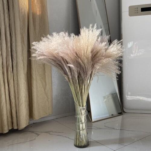 60CM Natural Dried Flower Reed Flower Bouquet for Home Deco Garden Artificial Plants Mariage Room Decoration Wedding Party