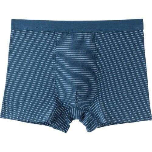 Mens Large Size Boxers Man Loose Underwear Striped Brief Man Seamless Cotton Panties Comfortable Sexy Male Breathable Underpants