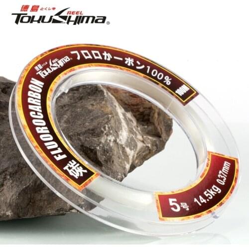 Fishing Line 100% Fluorocarbon Coating 50M 100M Fishing Leader Line Sinking Monofilament Leader Carbon Fiber Fly Fishing Cord