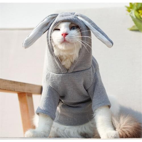 Cat Clothes Winter Dog Hoodie Chihuahua Yorkie Clothes Poodle Bichon Pomeranian Schnauzer Pug Clothing Outfit Dropship Dog Coat