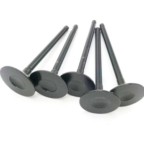 HISUN HS700 700CC ATV UTV Parts Intake Exhaust Valve Set