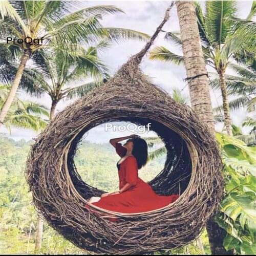 Ngryise 1 Set minshuku bird nest swing hanging chair ins style