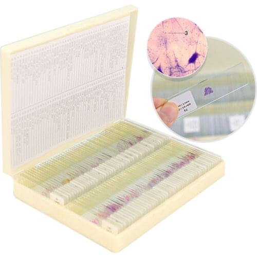 100 PCS Human Tissue Sections Histology Prepared Specimen Microscope Slides with Plastic Box