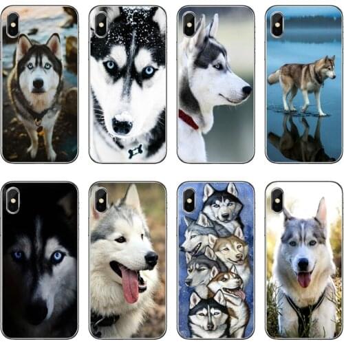 Siberian Husky Sled Dog Accessories Phone Case For Samsung Galaxy A71 A70 A60 A51 A50 A41 A40 A31 A30 A20E A21S A12 A10 A7 A5 A3