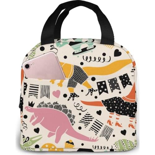 Cool Dinosaurs Cooler Lunch Box Portable Insulated Lunch Bag Thermal Food Picnic Lunch Bags