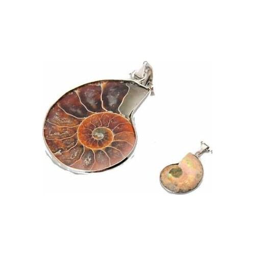 1pc Sea Nautilus Ammonite Fossil Shell Natural Pendant For Necklace Making Gift Random