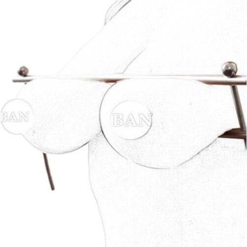 CamaTech Adjustable Metal Breast Clamps Restraint Torture Device Stainless Nipple Clamps Cage Women BDSM Boobs Clips Adult Games