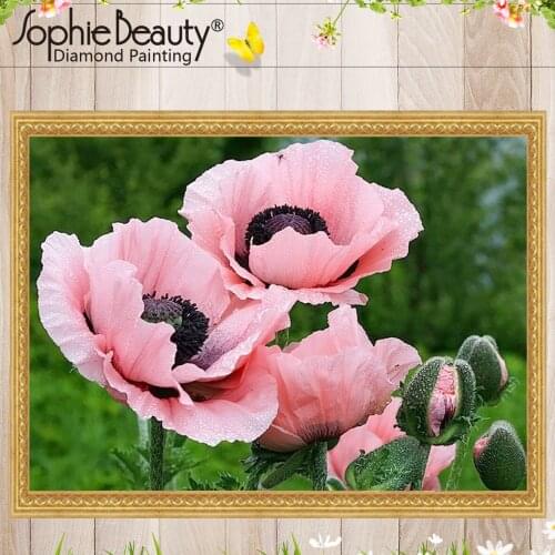 Diy Diamond Painting Cross Stitch Round Full Pink Poppy Flower Handcraft Embroidery Square Resin Diamond Mosaic Home Garden Arts