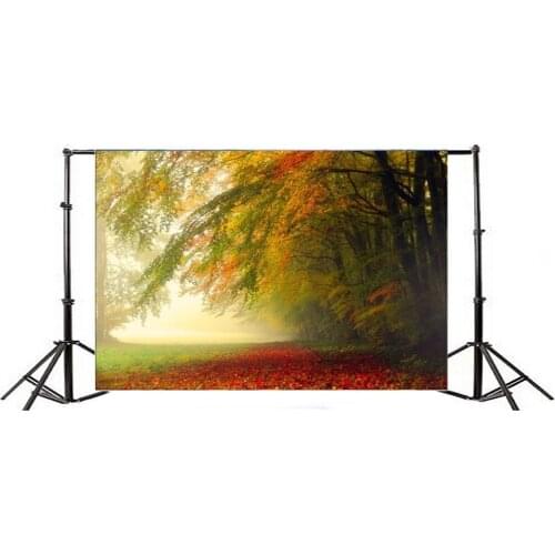 Photography Backdrop AutumnNature Old Tree Golden Leaves Grass Field Nature