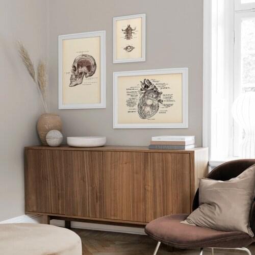 Antique Human Anatomy Organ Art Poster Heart Skull Canvas Print Medical Education Painting Home Clinic Wall Decor Pictures