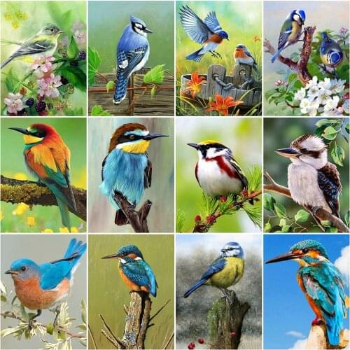 HUACAN 5D Full Square Diamond Painting Bird Picture Of Rhinestone Diamond Embroidery Animal Mosaic Needlework Decor For Home