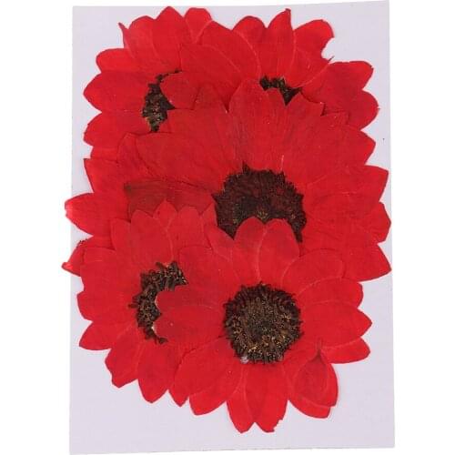 6 Pieces Pressed Natural Real Dried Flowers Sunflower for DIY Resin Ornament Craft Christmas Xmas Card Making Decoration