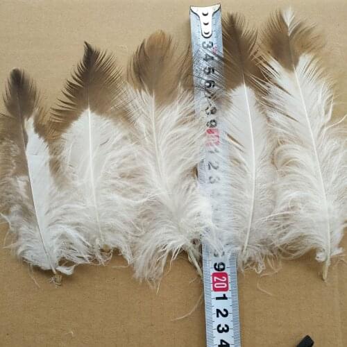 Rare natural golden eagle feathers 10pcs long 6-8 inches / 15-20 cm beautiful feather trim craft