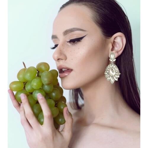 Big Crystal Earrings Statement Wedding Bridal Long Earrings for Women Elegant Rhinestone Fringe Earring Party Accessories 2019