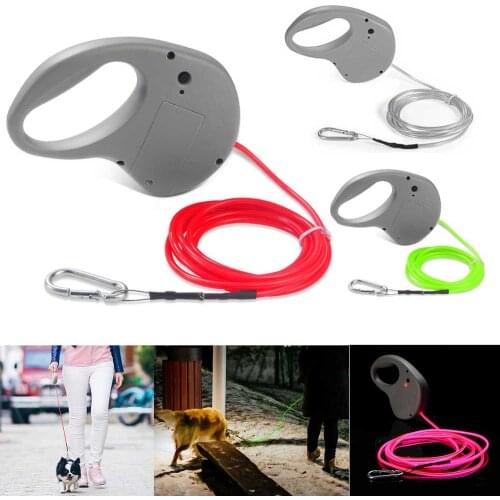 FOCUSIGN Animal Decorations