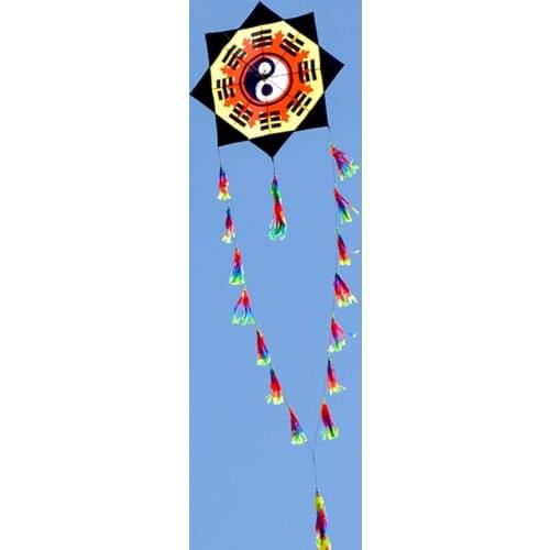 Free shipping new gossip kite fly for outdoor toys parachute kites for adults eagle latawiec reel kevlar vlieger moscas open