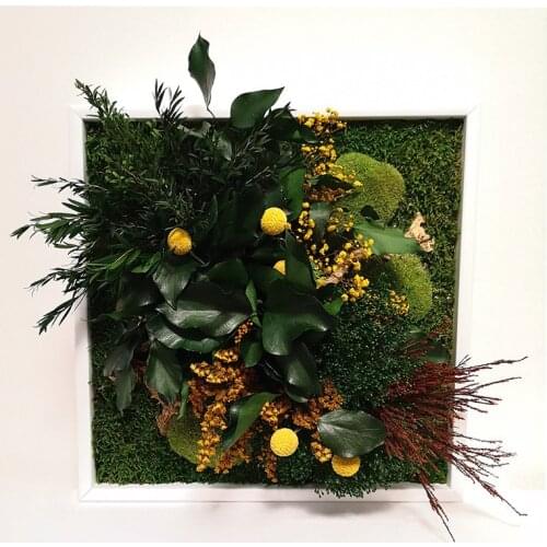 Demeter, plant with Moss plate framework and natural plants default, Moss Frame, zero maintenance, ForestMoss