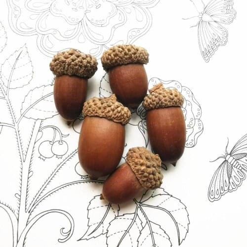 15pcs,Natural Real Dried Acorn,Eternal Acorn Display flower materials for Wedding Party home Decoration accessories,DIY gift box