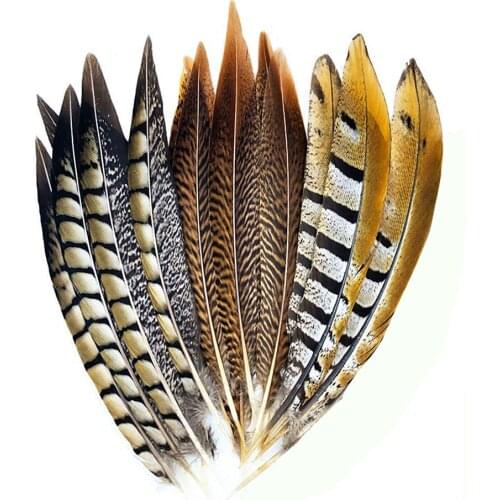 10Pcs15-20cm Natural Plume Pheasant Feathers for Crafts Party Decoration Lady Amherst Pheasant Feathers DIY Wedding Accessories