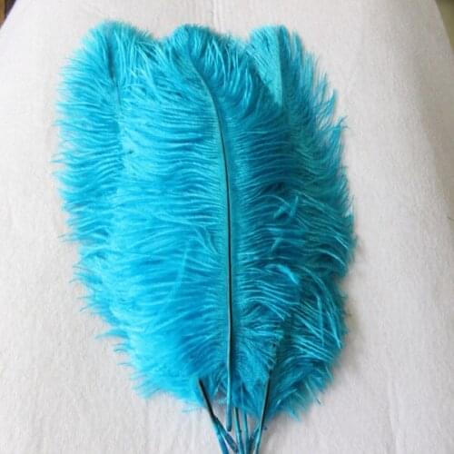 50Pcs 6-8''(15-20cm) High Quality New Style Real Natural Lake blue Ostrich Feathers Wedding Decoration