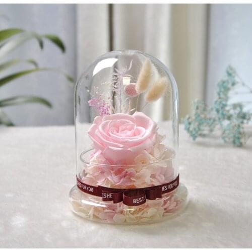 Free Shipping 2sets/pack 8*15cm Middle Size Glass Dome Vase Home Decoration Creative Cover Friend Favor Gift Wedding Prop