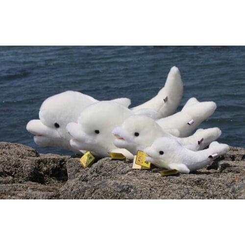 Marine animal lovely dolphin soft pillow Valentines Day gift w0825