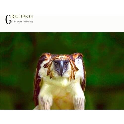 Eagle,diamond embroidery diamond painting cross stitch full square rhinestone mosaic,landscape,animal,unfinished home decoration